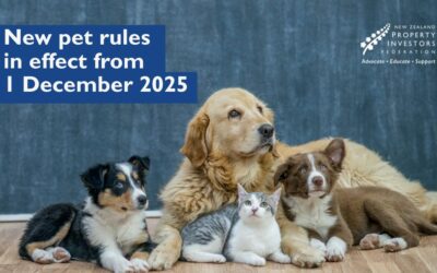 New Pet Rules for NZ Rentals: Your Complete Guide to Navigating the Changes (2025)