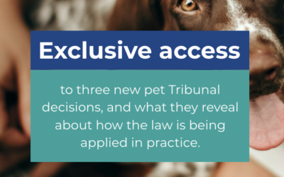 Advocacy in Action – pet rules, your response and what’s next
