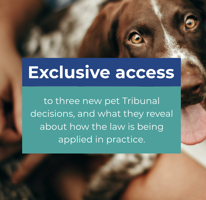 Advocacy in Action – pet rules, your response and what’s next